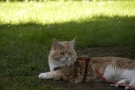 20080623_80.jpg