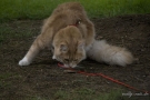 20080623_81.jpg