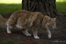 20080623_82.jpg