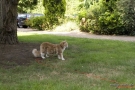20080623_83.jpg
