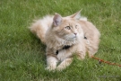 20080623_84.jpg