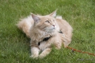 20080623_85.jpg