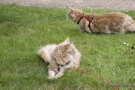 20080623_86.jpg