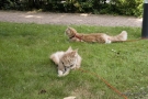 20080623_87.jpg