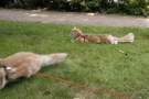 20080623_88.jpg