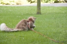20080623_9.jpg
