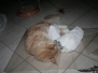Aragon & Azrael [2008-07-20]