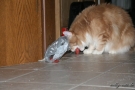 IMG_4044.jpg
