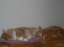 Aragon & Azreal [2009-07-19]