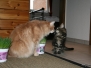 Aragon und Ellron [26.02.2010]
