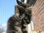 Aragon und Ellron [01.03.2010]