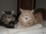 Aragon und Ellron [04.06.2010]